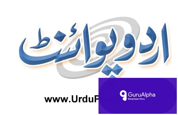 Sohail Afridi Vows to Expansion PTI Street Movement Into Punjab